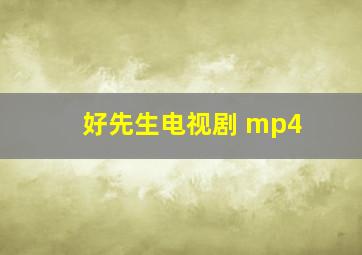 好先生电视剧 mp4